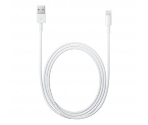 LIGHTNING TO USB CABLE (2 M)